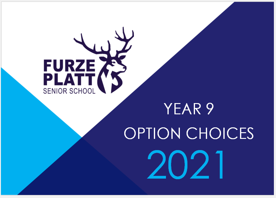 Furze Platt Senior School Year 9 Gcse Options 21